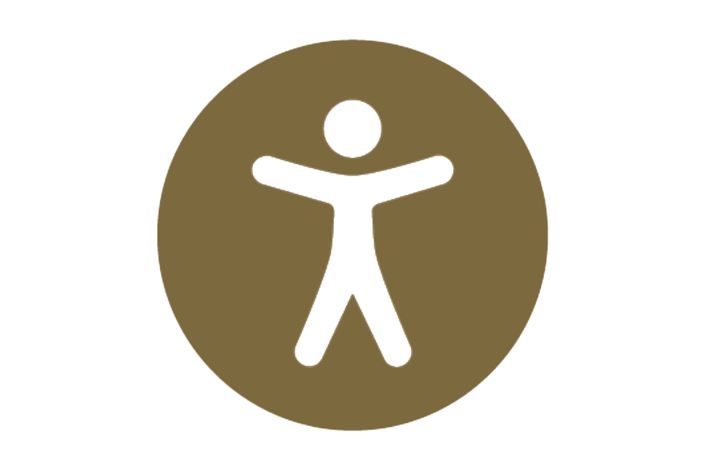 Widget di accessibilità